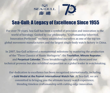 Seagull Ocean Series Stainless Steel Watch Men Business Watch Automatic Mechanical Watch 20Bar Waterproof Diving Diver Watch 523